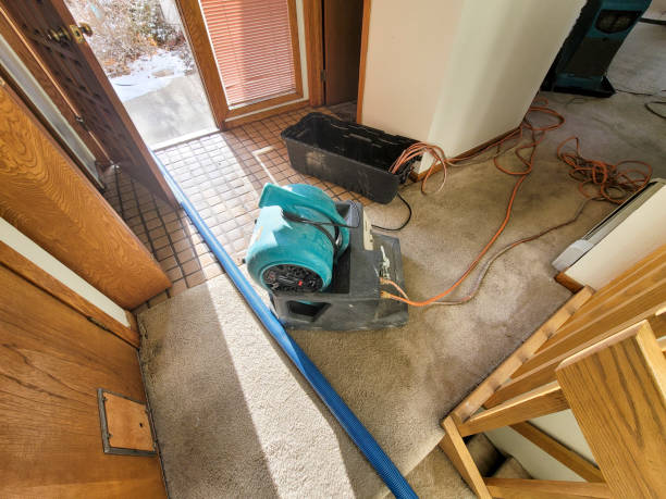 Best Emergency water damage restoration  in Hudsonville, MI