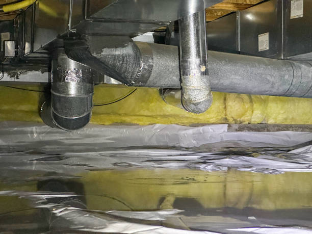 Best Residential water damage restoration  in Hudsonville, MI